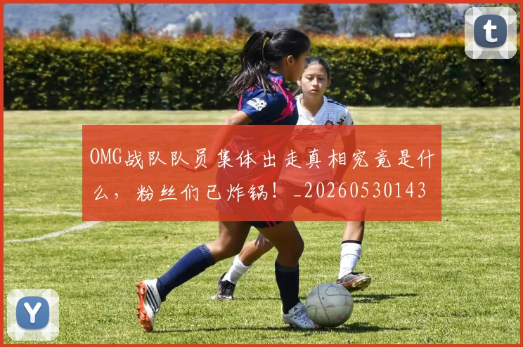 OMG战队队员集体出走真相究竟是什么，粉丝们已炸锅！_20260530143631